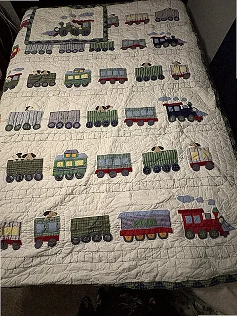 Pottery Barn Train Junction Twin Appliqué Quilt Set with Pillow Sham VHTF Puppy